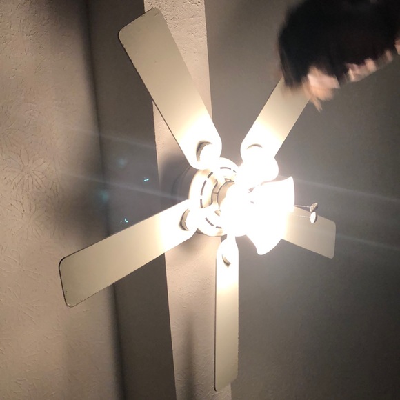 Meet your Posher, Declan - Picture 1 of 1